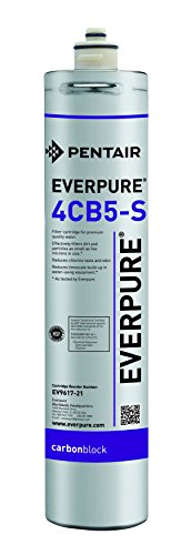 Everpure EV9617-21 4CB5-S Filterkartusche von Everpure