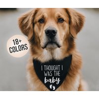 Ich Dachte, Ich Wäre Das Baby Hundehalstuch - Schwangerschaftsankündigung Für Hunde Schwangerschaft Offenbaren Mit von EveryJaye