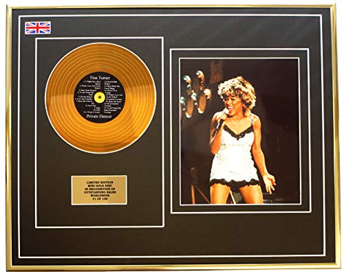 Everythingcollectible Tina Turner/Mini Metall Gold DISC & Foto Display/Limitierte Edition/COA/Private Dancer von Everythingcollectible