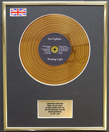 FOO FIGHTERS / MINI GOLD DISC DISPLAY / LIMITIERTE AUFLAGE / COA / WASTING LIGHT von Everythingcollectible