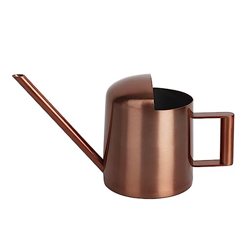 Mini-Gießkanne aus Edelstahl | winziger Gießkannen-Topf – langer Hals Gießtopf für Bonsai – 284 ml grünes Wasser Blumenpflanzendose Topf für Gartenarbeit Mini-Gießkanne aus Edelstahl | winziger Gießkannen-Topf – langer Hals Gießtopf für Bonsai – 284 ml grünes Wasser Blumenpflanzendose Topf für Gartenarbeit von EviKoo