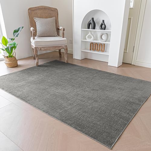 Evitany Moderne Graue Teppiche für Wohnzimmer, waschbarer Kurzflor-Teppich, weiche Chenille-Zottelteppiche, Teppiche für Schlafzimmer,Dunkelgrau/80x150 cm von Evitany