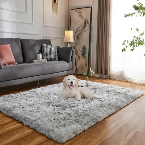 Evitany Teppich Hellgrau,Teppich Schlafzimmer Flauschig,Waschbare Hochflor Teppiche,Kleiner Weich Anti-Rutsch Bettvorleger, Kuschelteppich für Kinderzimmer(Hellgrau, 60x120 cm) von Evitany