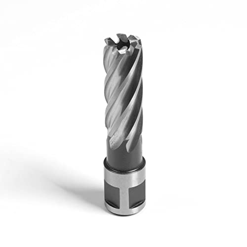 Evolution Langserienfräser, 12 x 50mm von Evolution Power Tools