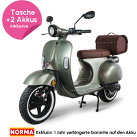 45er E-Roller inkl. 2 Akkus + Helmtasche - Army Green matt von Evyvo