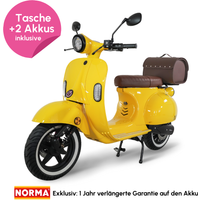 45er E-Roller inkl. 2 Akkus + Helmtasche - Rapeseed Yellow glossy von Evyvo