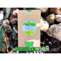 Verschwindwurm - Präventives Räucherwerk Entgiftungsräucherwerk Von Ewigermungocraft von EwigerMungoCraft