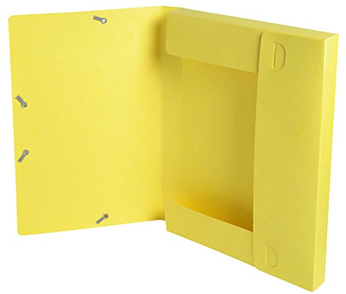 Exacompta 18500H Premium Sammelbox mit Gummizug 25 mm breit aus extra starkem Colorspan-Karton mit Rückenschild für DIN A4 Archivbox Heftbox Dokumentenbox Zeichenbox 1 Stück Zufallsfarbe von Exacompta