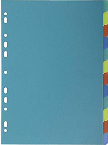 Exacompta 2712E 15er Pack Premium-Register Forever für DIN A4 aus recyceltem Kunststoff 12-teilig volle Höhe 21 x 29,7 cm vollfarbig 2 x 6 Farben mit Indexseite zum selbstgestalten Blauer Engel von Exacompta