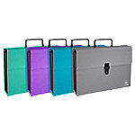 Exacompta Fächermappe Spezial Blanko Beschichteter Karton Farbig Sortiert 56750E 32 (B) x 24 (H) cm 4 Stück Exacompta Fächermappe Spezial Blanko Beschichteter Karton Farbig Sortiert 56750E 32 (B) x 24 (H) cm 4 Stück von Exacompta