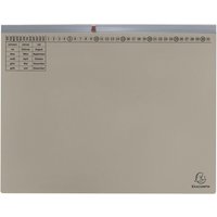 Exacompta Exaflex Premium Hängehefter Amtsheftung DIN A4 grau von Exacompta