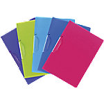 Exacompta Drehclip Präsentationsmappe 47700E PP 31x 22 x 22 cm (H x B x T) Farbig sortiert 25 Stück Exacompta Drehclip Präsentationsmappe 47700E PP 31x 22 x 22 cm (H x B x T) Farbig sortiert 25 Stück von Exacompta
