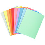 Exacompta Ordnungsmappe DIN A4 Karton 210 g/m² 100 Stück von Exacompta