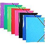 Exacompta Ordnungsmappe Spezial Pressspankarton 12-teilig Farbig sortiert Iderama 541229E 24,5 (B) x 32 (H) cm 8 Stück von Exacompta