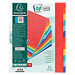 Exacompta Genuine Premium Pressboard 1 bis 12 Register 320 x 240 mm Farbig Sortiert 12-teilig Pressspankarton 18 Löcher 7034E 5 Stück Exacompta Genuine Premium Pressboard 1 bis 12 Register 320 x 240 mm Farbig Sortiert 12-teilig Pressspankarton 18 Löcher 7034E 5 Stück von Exacompta