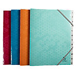 Exacompta Sammelmappe Spezial 1 bis 12 PP (Polypropylen) 12-teilig Farbig Sortiert 58310E 25 (B) x 32 (H) cm 8 Stück Exacompta Sammelmappe Spezial 1 bis 12 PP (Polypropylen) 12-teilig Farbig Sortiert 58310E 25 (B) x 32 (H) cm 8 Stück von Exacompta