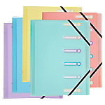 Exacompta Sammelmappe Spezial Blanko PP (Polypropylen) 6-teilig Farbig Sortiert 56170E 25 (B) x 32 (H) cm 5 Stück von Exacompta