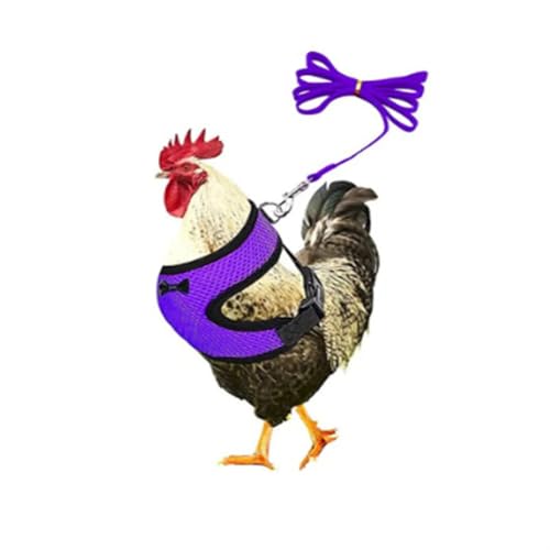 ExcLent Hundegeschirr mit passender Halsbandschleife – bequeme, atmungsaktive Netzleine für Geflügel von ExcLent