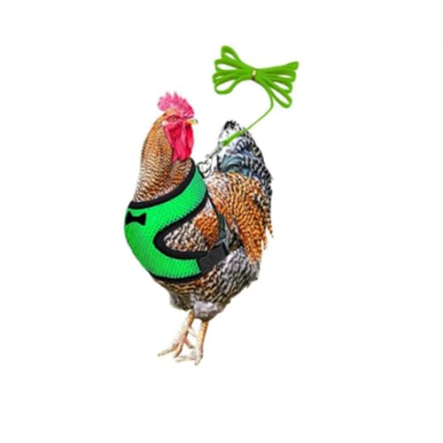 ExcLent Hundegeschirr mit passender Halsbandschleife – bequeme, atmungsaktive Netzleine für Geflügel von ExcLent