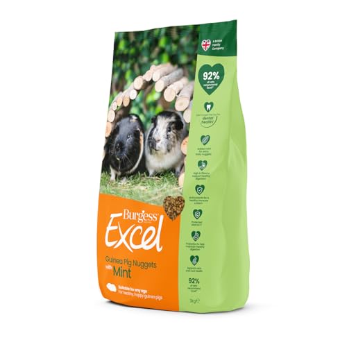 Burgess Excel Meerschweinchen Nuggets mit Minze von Excel
