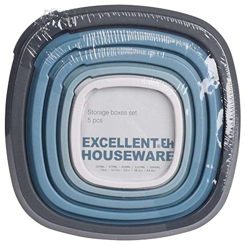 Excellent Houseware Aufbewahrungsbox mit Deckel, 5-teiliges Set, mehrfarbig von Excellent Houseware