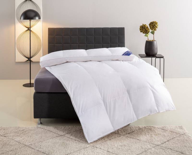 Excellent Daunenbettdecke VENEDIG, Bettdecken für Sommer und Winter, Decke, Füllung: 90% Daunen, 10% Federn, Bezug: 100% Baumwolle, Bettdecke 135x200 cm, 155x220cm und weitere Größen, Made in Germany von Excellent