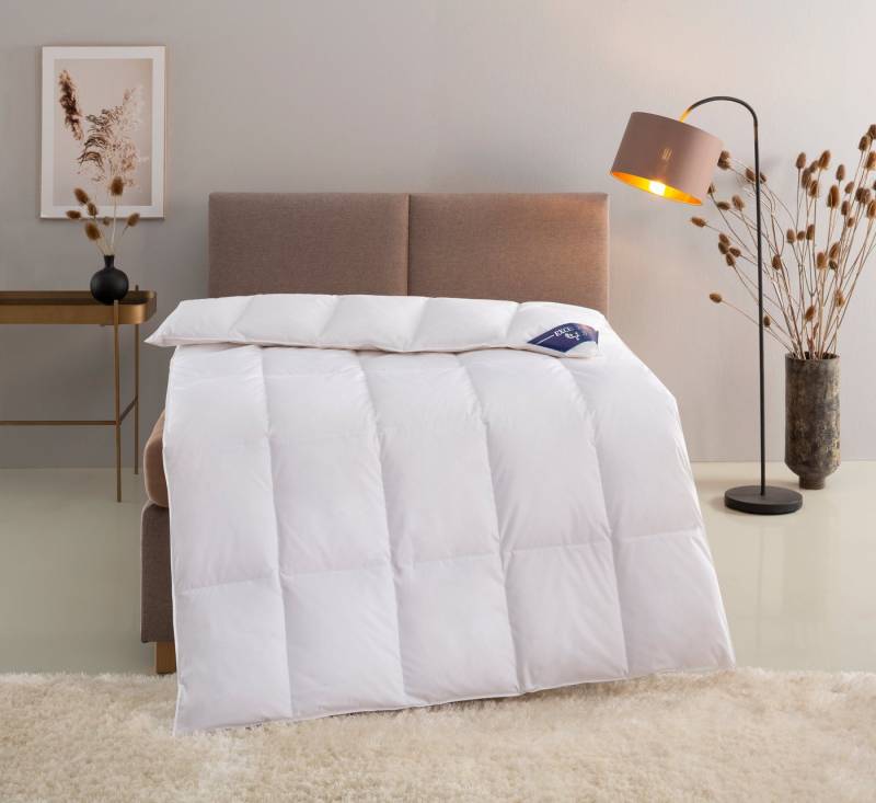 Excellent Daunenbettdecke Zürich, Bettdecken für Sommer und Winter, Decke, Füllung: 100% Daunen, Bezug: 100% Baumwolle, Bettdecke 135x200 cm, 155x220cm und weitere Größen, Made in Germany von Excellent