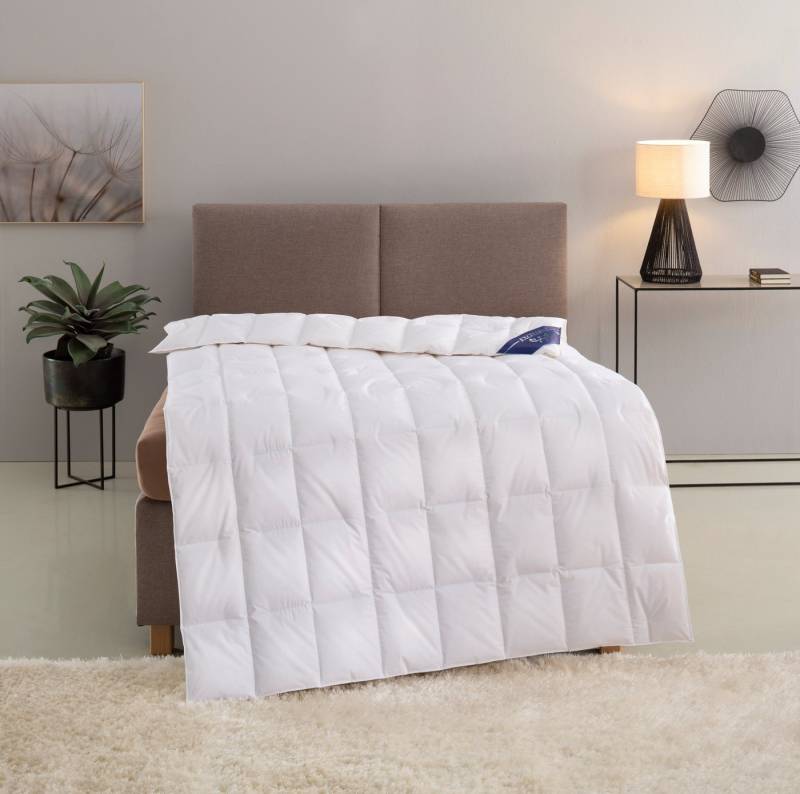 Excellent Daunenbettdecke Zürich, Bettdecken für Sommer und Winter, Decke, Füllung: 100% Daunen, Bezug: 100% Baumwolle, Bettdecke 135x200 cm, 155x220cm und weitere Größen, Made in Germany von Excellent