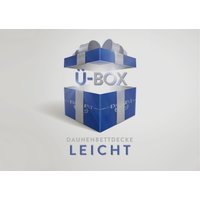 Excellent Daunenbettdecke "Überraschungsbox", leicht, Füllung 90% Daunen, 10% Federn, Bezug Baumwolle, (1 St.), absoluter Sonderpreis, wegen Lagerräumung, Solange der Vorrat reicht von Excellent