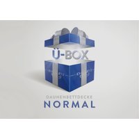 Excellent Daunenbettdecke "Überraschungsbox", normal, Füllung 90% Daunen, 10% Federn, Bezug Baumwolle, (1 St.) von Excellent