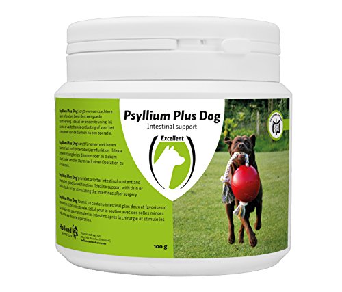 Excellent Psyllium Plus Dog - Zur Unterstützung von dünnem oder festsitzendem Stuhl oder zur Anregung des Darms - Für Hunde geeignet - 100 Gramm Excellent Psyllium Plus Dog - Zur Unterstützung von dünnem oder festsitzendem Stuhl oder zur Anregung des Darms - Für Hunde geeignet - 100 Gramm von Excellent