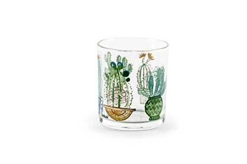 Excelsa Cactus Set mit 3 Gläsern, Glas von Excelsa