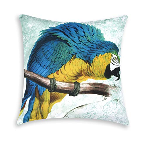 Excelsa Parrots Dekoratives Kissen, Füllung inklusive, Kissenbezug aus Baumwolle, Mehrfarbig, 45 x 45 cm von Excelsa
