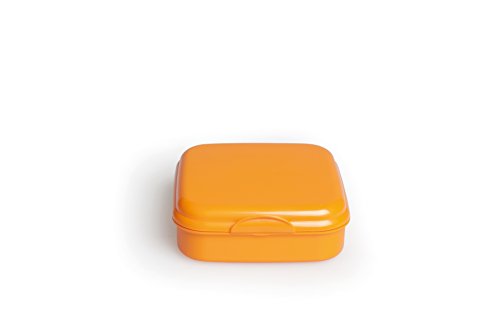 Excelsa Take Away Sandwichbox, Polypropylen, Orange, 15x15x5 cm von Excelsa