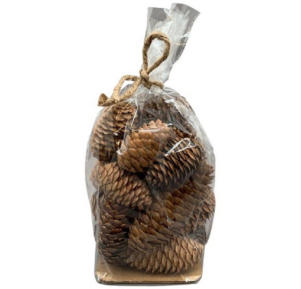Exner GmbH Garten- & Wohnaccessoires Dekoobjekt Exner Zapfen Aride, natur, Zapfen, 10x14x10 cm, 21 tlg., 257043 (1 St) von Exner GmbH Garten- & Wohnaccessoires