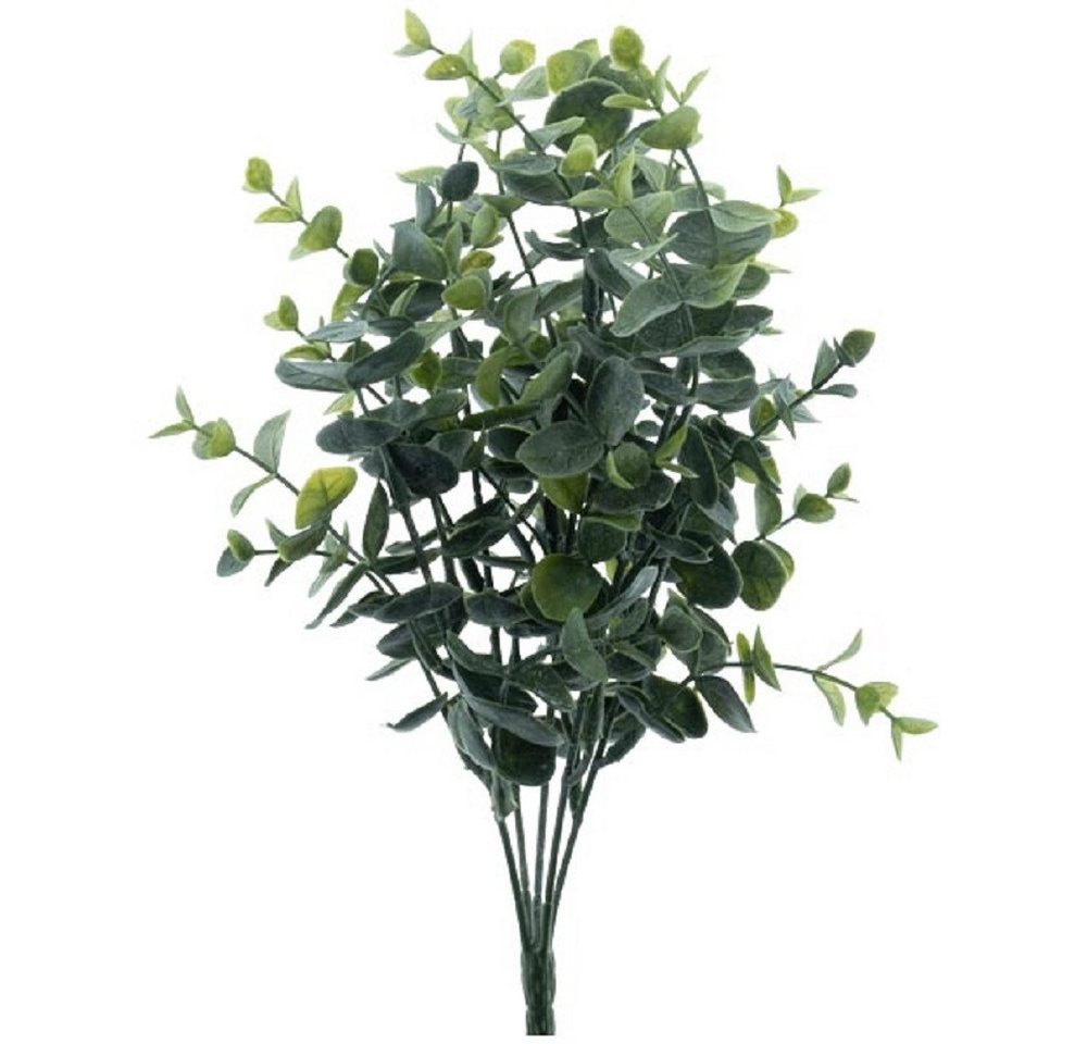 Kunstpflanze Exner Eukalyptusstrauch, Grün, 32 cm lang, 248331, Exner GmbH Garten- & Wohnaccessoires Kunstpflanze Exner Eukalyptusstrauch, Grün, 32 cm lang, 248331, Exner GmbH Garten- & Wohnaccessoires von Exner GmbH Garten- & Wohnaccessoires