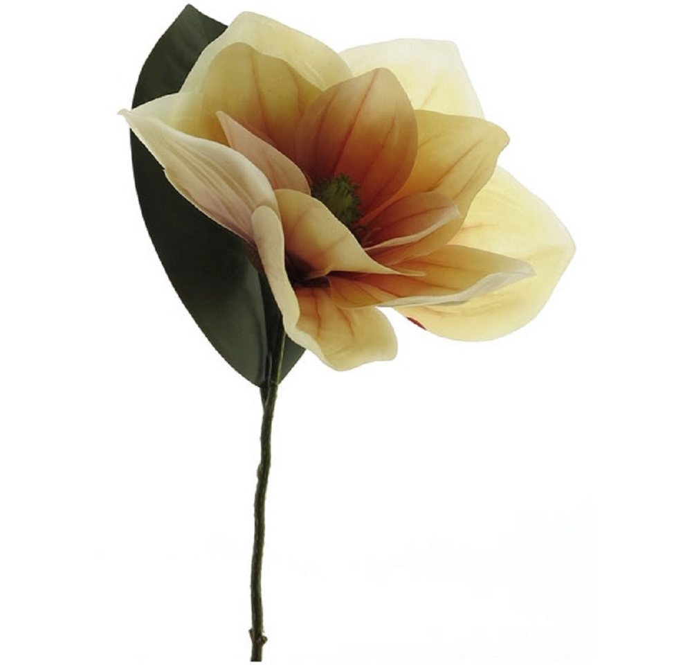 Kunstpflanze Exner Magnolie, Orange, 33 cm lang, 243970, Exner GmbH Garten- & Wohnaccessoires Kunstpflanze Exner Magnolie, Orange, 33 cm lang, 243970, Exner GmbH Garten- & Wohnaccessoires von Exner GmbH Garten- & Wohnaccessoires