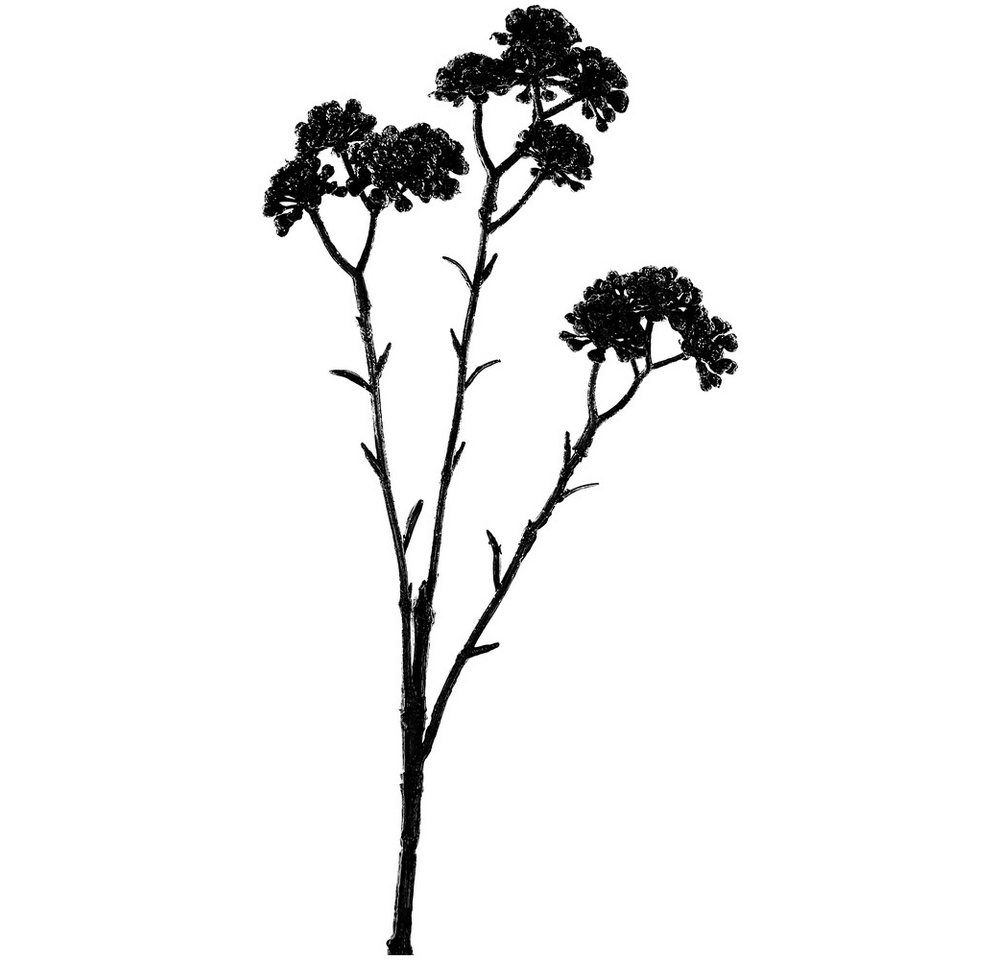 Kunstzweig Exner BeerenZweig ArtificialNature, schwarz, 43 cm, Kunstzweig, 245486, Exner GmbH Garten- & Wohnaccessoires Kunstzweig Exner BeerenZweig ArtificialNature, schwarz, 43 cm, Kunstzweig, 245486, Exner GmbH Garten- & Wohnaccessoires von Exner GmbH Garten- & Wohnaccessoires
