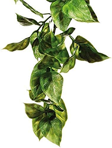 Exo Terra 544193 Terrarium Plant Amapallo Shrub Plastic, Large von Exo Terra