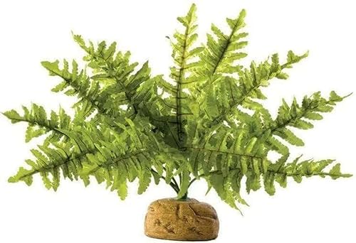 Exo Terra Boston Farn, künstliche naturgetreue Pflanze für Terrarien, ideal für Regenwaldterrarien, klein von Exo Terra