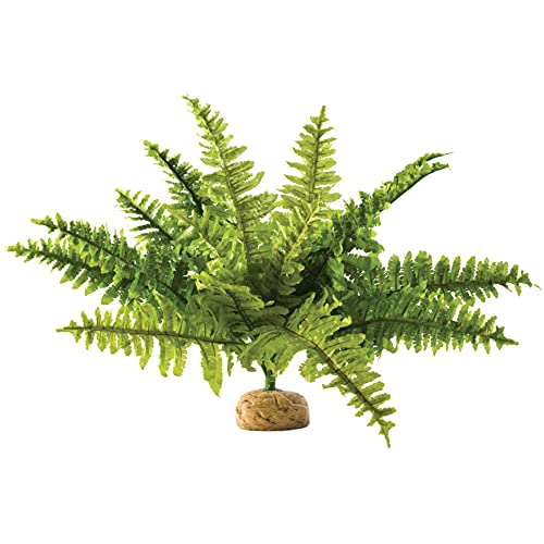 Exo Terra Boston Farn, künstliche naturgetreue Pflanze für Terrarien, ideal für Regenwaldterrarien, mittel von Exo Terra