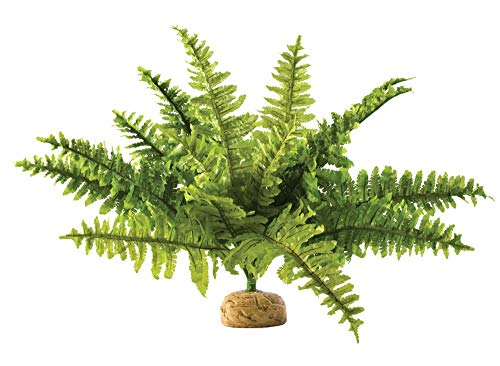 Exo Terra Boston Farn, künstliche naturgetreue Pflanze für Terrarien, ideal für Regenwaldterrarien, mittel von Exo Terra