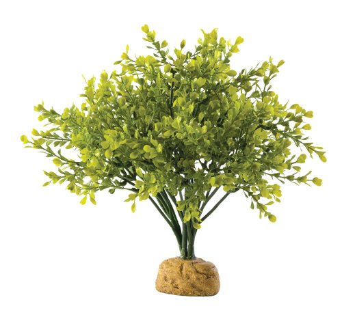 Exo Terra Buchsbaum, künstliche naturgetreue Pflanze für Terrarien, ideal für Regenwaldterrarien, 4 g (1er Pack) von Exo Terra