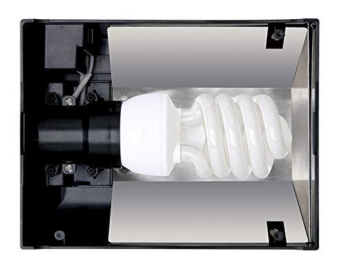 Exo Terra Compact Top, Terrarienabdeckung, Nano, für 1 Lampe, mit Reflektor, 20 x 9 x 15cm, Fassung E27, Schwarz Exo Terra Compact Top, Terrarienabdeckung, Nano, für 1 Lampe, mit Reflektor, 20 x 9 x 15cm, Fassung E27, Schwarz von Exo Terra