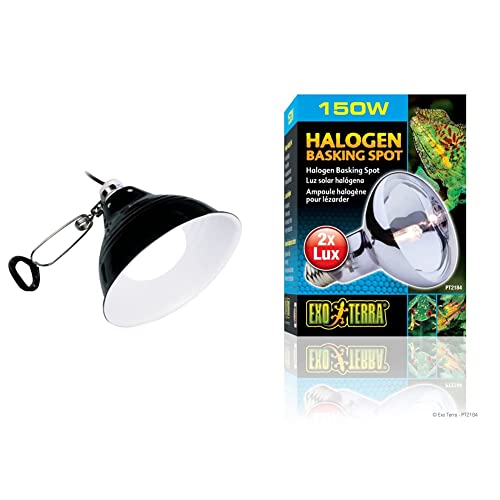 Exo Terra Glow Light, Porzellan-Klemmlampe und Leuchtreflektor, fuer Lampen bis 100W, Durchmesser 14cm, Schwarz + Halogen Basking Spot, Breitspektrum Tageslichtlampe, 75W, Fassung E27 von Exo Terra