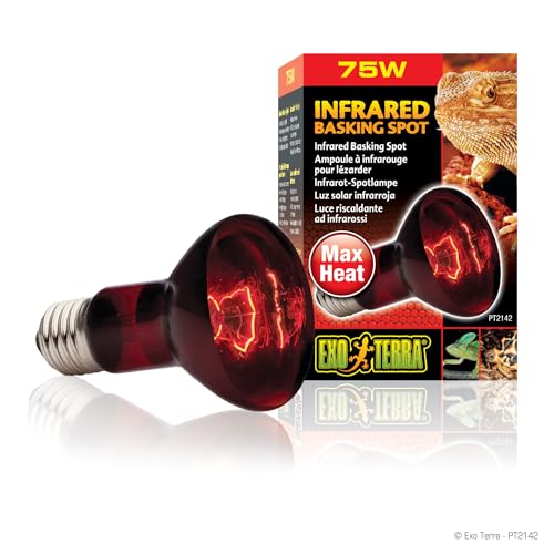 Exo Terra Infrared Basking Spot, Wärmespotlampe, R20, 75W, Fassung E27, 1 Stück (1er Pack) Exo Terra Infrared Basking Spot, Wärmespotlampe, R20, 75W, Fassung E27, 1 Stück (1er Pack) von Exo Terra