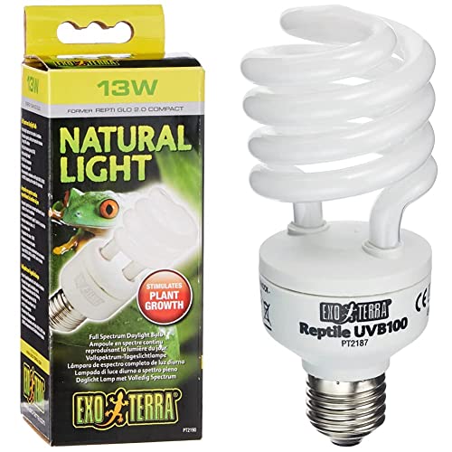 Exo Terra Natural Light, Vollspektrum-Tageslichtlampe, 13W, Fassung E27 & Reptile UVB 100, Tropische Terrarienlampe, Kompakte UVB Lampe fuer tropische und subtropische Reptilien, 13W, Fassung E27 von Exo Terra