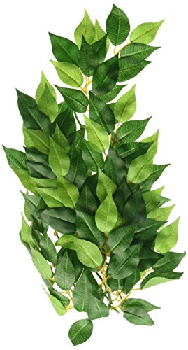Exo Terra Fikus, hängende Regenwaldpflanze aus Seide, mittel, Länge 41cm Exo Terra Fikus, hängende Regenwaldpflanze aus Seide, mittel, Länge 41cm von Exo Terra