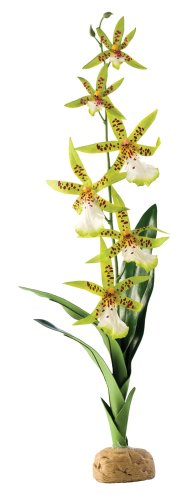Exo Terra Spinnen Orchidee, künstliche naturgetreue Pflanze für Terrarien, ideal für Regenwaldterrarien von Exo Terra