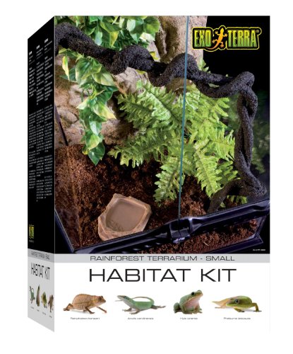 Exo Terra Rainforest Habitat Kit, Terrarien Starter Set Regenwald, inkl. Abdeckung, Thermometer, 3 künstlichen Pflanzen, Bodengrund, Wassernapf, 1 Liane, 30 x 30 x 45cm von Exo Terra